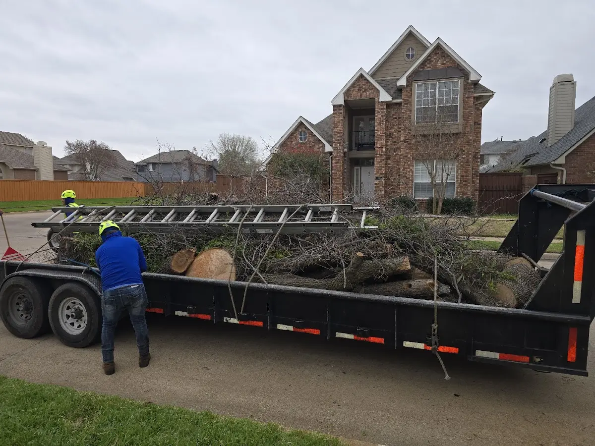 Expert Tree Removal with proper safety equipment in Sugar Hill